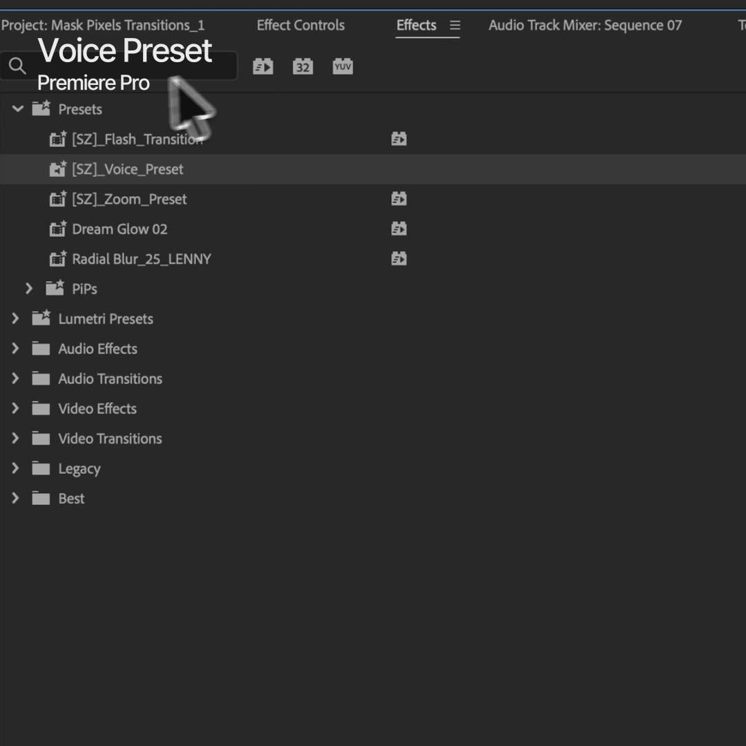 Voice Preset