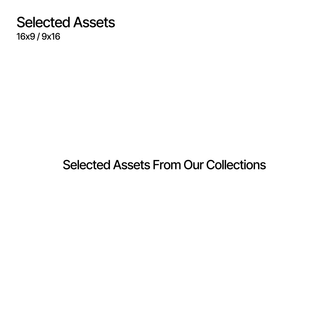 Selected Assets